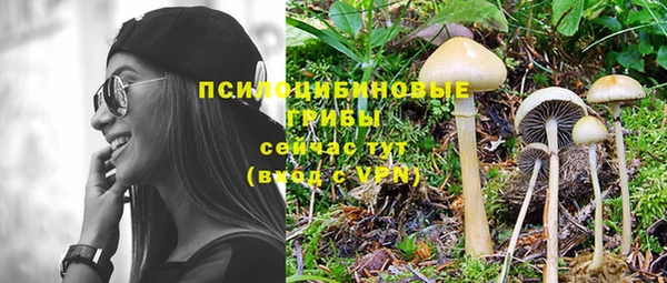 дживик Аркадак