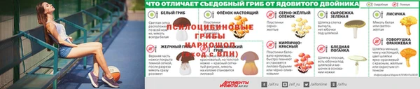 прущая мука Армянск