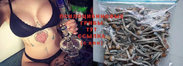 дживик Аркадак
