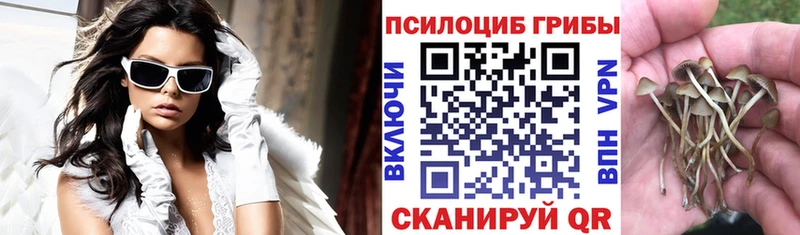 хочу наркоту  Юрьев-Польский  Псилоцибиновые грибы мухоморы 